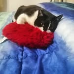 Fabrizio - @fabrizio.scala75 - Instagram