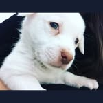 Fabrizio Scala - @scala695 - Instagram