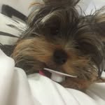 Fabrizio Scala - @fabrizio.scala123 - Instagram