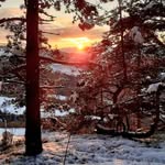 fabrizio scala - @scala_fabrizio - Instagram