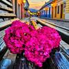 Faby Romero - @fabyromero73 - TikTok