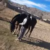 Facundo Amador Pizarro - @facundo.amador.pi - TikTok