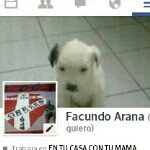 Facundo Arana - @facundoarana - Instagram