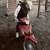 Facundo Borras - @facundoborras - TikTok