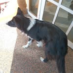 Facundo Borras - Facebook