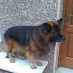 Facundo Martinez - Facebook