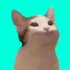 facundo_martinez - @facundo_martinez.06 - TikTok