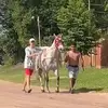 Facundo Ojeda - @facundo.ojeda78 - TikTok