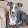 Facundo Torino - @facundo.torino - TikTok