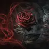 🥀Faded rose🥀 - @faded_ros3 - TikTok