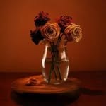 Faded Rose Short Film - @fadedrosefilm - Instagram