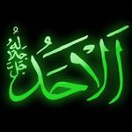 Fadel Hussein - @14fadel38 - Instagram