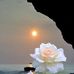 Fadel Hussein - Facebook