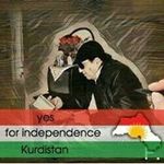 Fadel Khalil - @bave6545 - Instagram