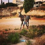 fadel_khalil - @fadel_khalil7 - Instagram