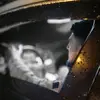 فاضل عامر خطاب - @fadelkhattab123 - TikTok