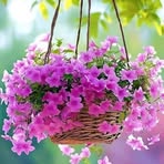 Fadel Khattab - Facebook
