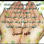 اليافعي يمن - @fadelomar - Instagram