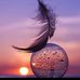 Fadel Omar - Facebook