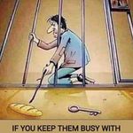 Fadel Omar - @fadel.omar3 - Instagram