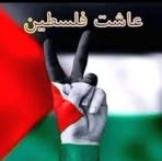 Fadi Taha - Facebook