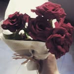 Dr. Fadia Moussa - @dr.fadiamoussa - Instagram
