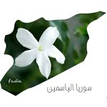 Fadia Moussa - @fadiamousa35 - Instagram