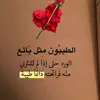 Fadia Moussa - @fadia.moussa4 - TikTok