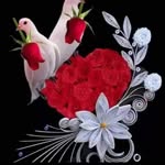 Faduma M Ali - @faduma3119 - Instagram