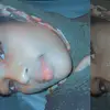 Fadumo Adan - @fadamoadan - TikTok