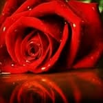 عوسب محمد - @fadumodaud88 - Instagram