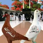Fadumo Hussein - @fadumo.hussein.733 - Instagram