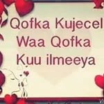 Fadumo Ibrahim - @fadumo.ibrahim.798278 - Instagram