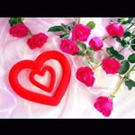 Fadumo Ibrahim - @fadumo.ibrahim.77770 - Instagram