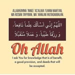 Fadumo Ibrahim - @fadumo.ibrahim.1829 - Instagram