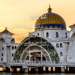 Fadumo Muse - @mustalifa37 - Instagram