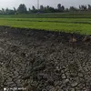 بنيامين فادي - @benjaminfady - TikTok