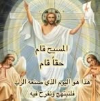 Fady Chamoun - Facebook