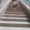 Fady Mina - @fady.mina92 - TikTok