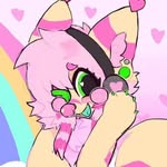 Fae the fennec fox! 🌈🫧☁️ - @popipawws - Instagram
