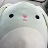 faefox88 - @lunaticnarwal - TikTok