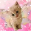 🏩🎀Fae🧚‍♀️🍧 - @faeleef - TikTok