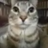 daivany - @faelove123 - TikTok