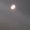 Fae - @fae.thompson - TikTok