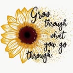 Fae Thompson - Facebook