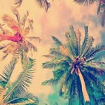 Fae Thompson - @faex96792 - Instagram