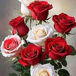 fahd ansari - @imransari5078 - Instagram