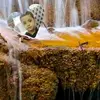 Fahd Ansari Fahd Ansari - @fahdansarifahdans - TikTok