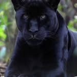 Fahd Faisal - @fahd.faisal.908 - Instagram