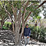 Fahed Ahmed - @fahed9763 - Instagram